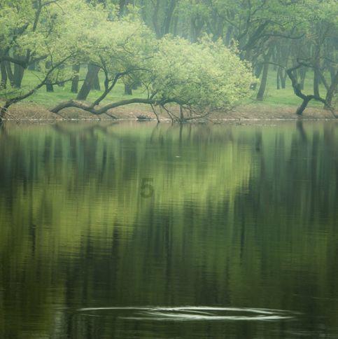 汉阳丸子节喷香开炸,60米“龙街”带来味蕾盛宴